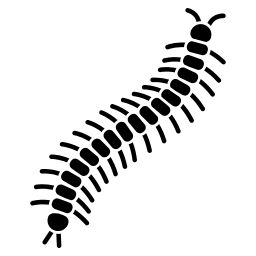 Centipede Control